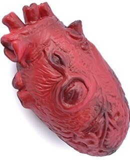 Halloween Accessory-Heart-1pkg