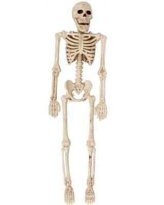 Halloween Accessory-Skeleton-4pkg-6&quot;