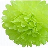 Pom Poms-Olive-Plastic-25pk