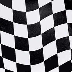 Napkins - BV- Black And White Check - 16pkg - 2ply