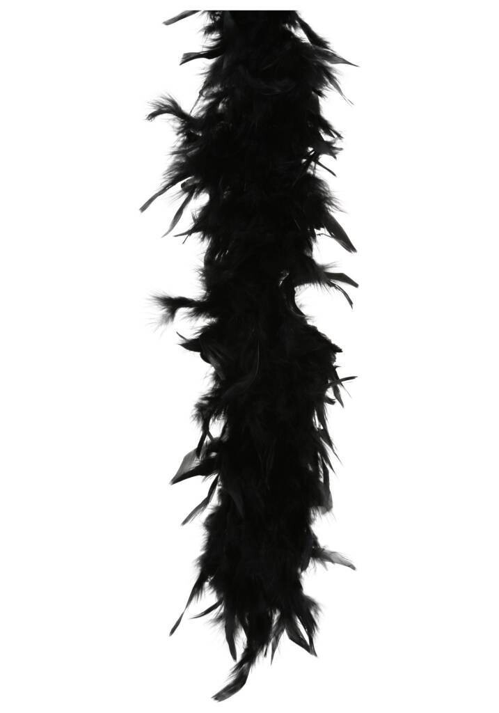 Costume Accessory-Black Fashion Boa-1pkg-6ft