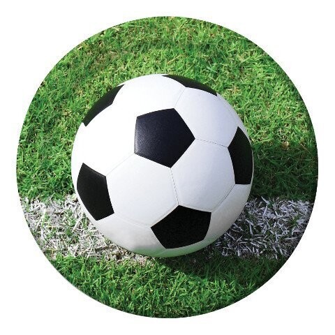 Plates-LN-Soccer Fanatic-8pkg-Paper