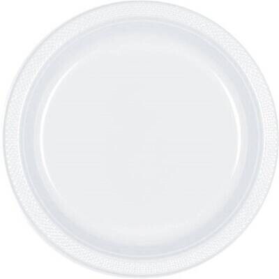 Plastic Plates 20Pc Frosty White 10 1/4&quot;
