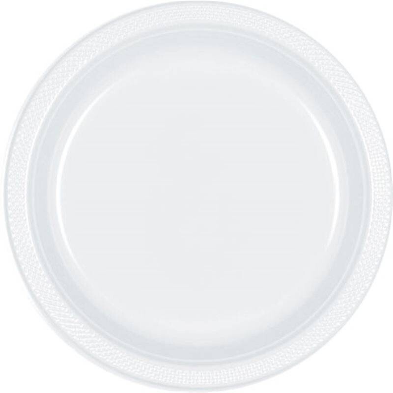 Plastic Plates 20Pc Frosty White 10 1/4&quot;