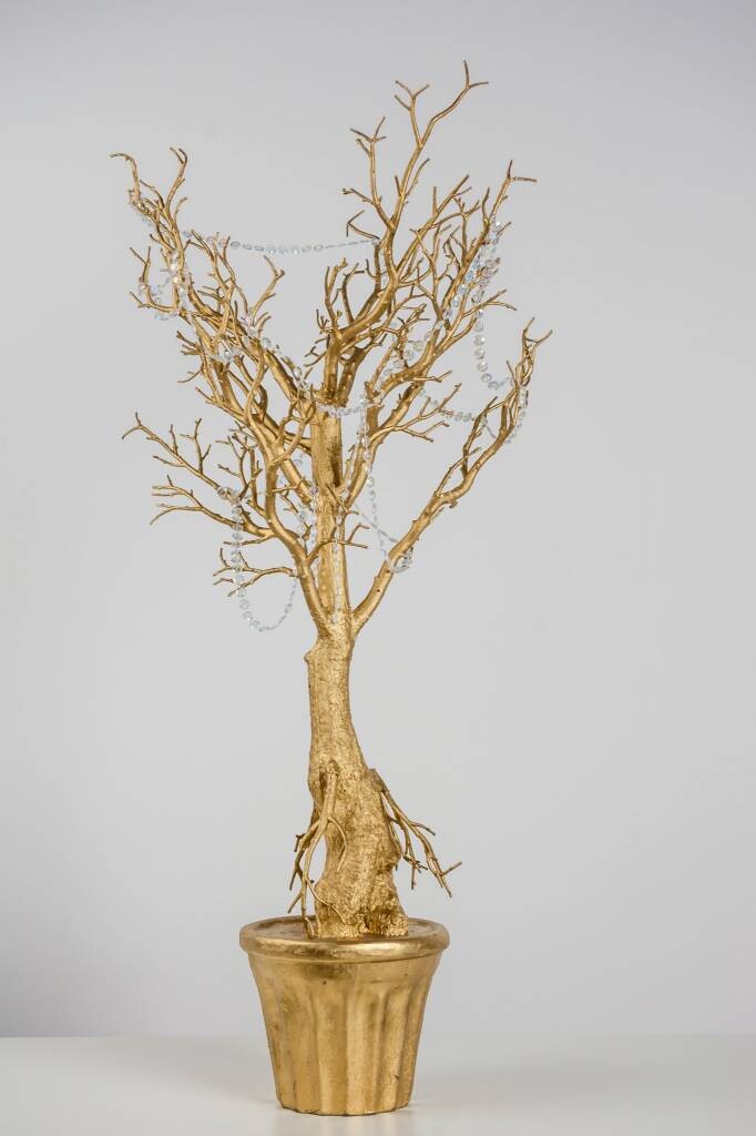 Rental-Small Gold Manzanita Trees-1Day