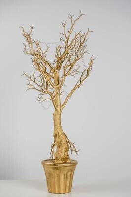 Rental-Small Gold Manzanita Trees-1Day