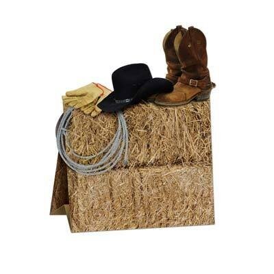 Centerpiece-3D-Western-1pkg-11&#39;&#39;
