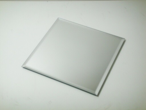 Rental-Mirror Plate-1Day