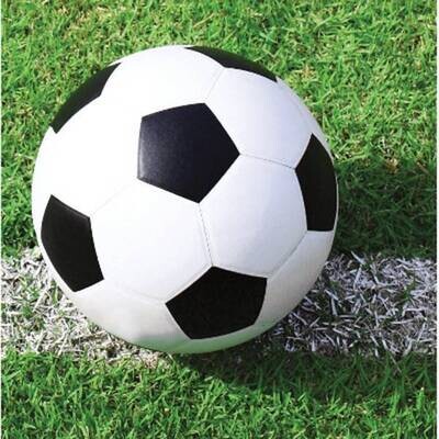 Napkins-BEV-Soccer Fanatic-18pkg-2ply