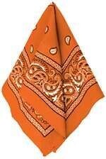 Bandana-Orange-1pkg-20"x20"