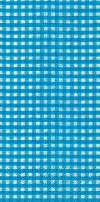 Napkins-Buffet-Vichy Turquoise-16pkg-3ply