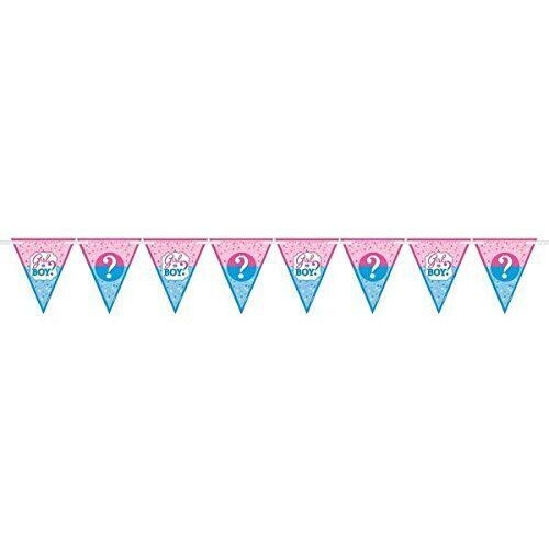 12 Pennant Banner - Baby Shower - Gender Reveal - 15&#39;