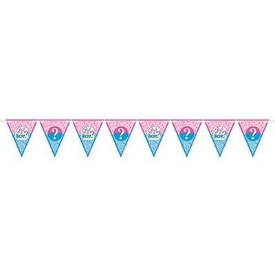 12 Pennant Banner - Baby Shower - Gender Reveal - 15&#39;