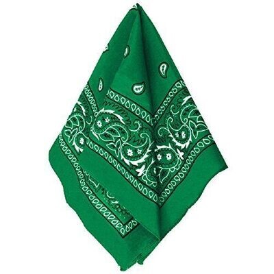 Costume Accessory-Green Bandana-1pkg-20&#39;&#39;x20&quot;
