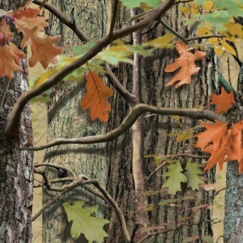 Napkins BEV-Hunting Camo (18pk-2ply)