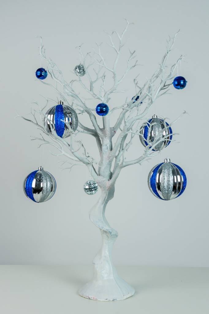 Rental-Small White Manzanita Trees-1Day