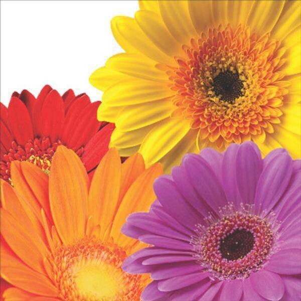 Napkins-BEV-Flower Fantasy-16pk