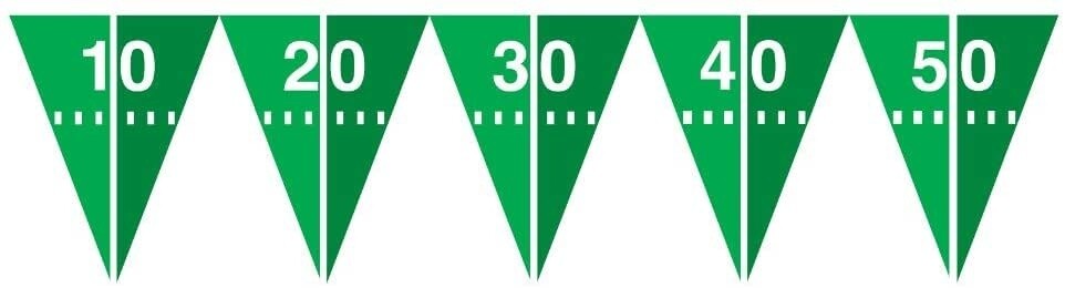 Plastic Flag Banner ( 10.5&quot; x 9 FT ) Football