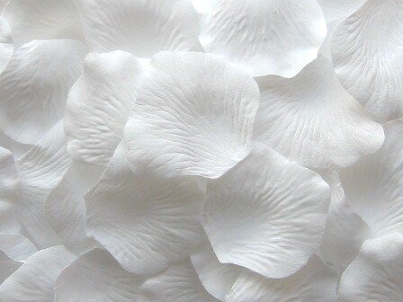 Rose Petals-White