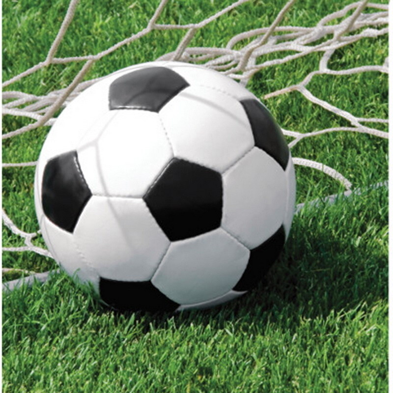 Napkins LN Soccer 18 PK 2 PLY