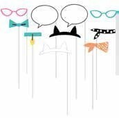 Photo Props-Cat Purefect Party-10pk