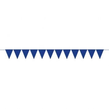 Banner Pennant Blue (20FT)