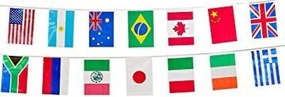 Pennant Banner-International Flag-23ft-Plastic