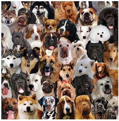 Lunch Napkins-Best in Show-Ruff