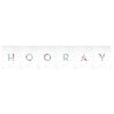 Custom Pennant Banner- Iridescent DIY- 9ft X 6&quot;