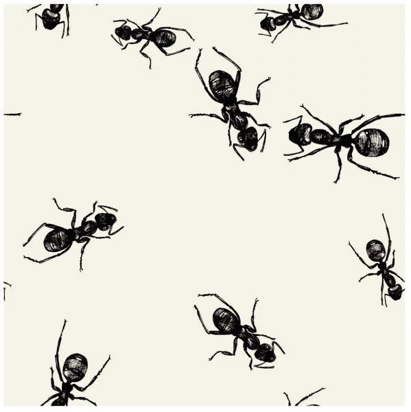 Beverage Napkins- Picnic- Ants- 24pk-3ply