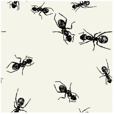 Beverage Napkins- Picnic- Ants- 24pk-3ply