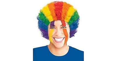 Curly Rainbow Wig