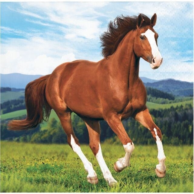 Beverage Napkins-Horse and Pony-16pk-2ply