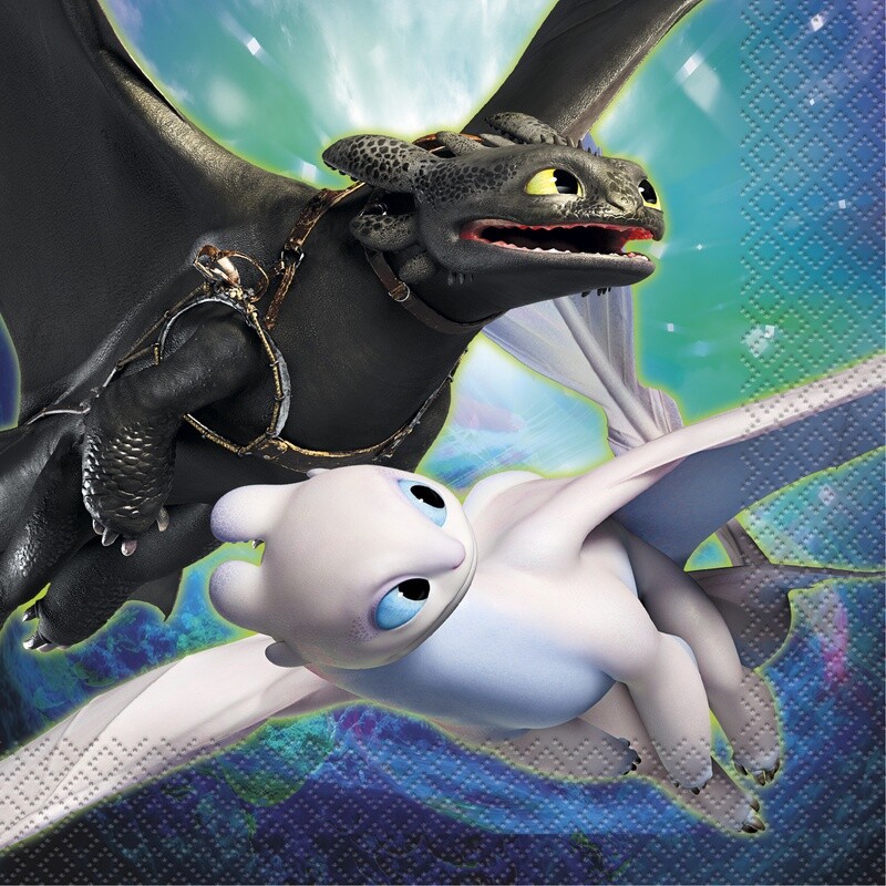 Luncheon Napkins-How to Train your Dragon-16pk-2ply