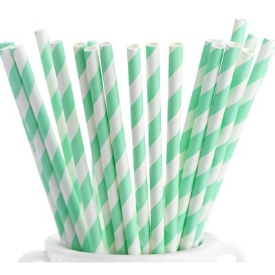 Paper Straws - Fresh Mint - 24pk