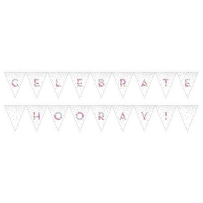 Pennant Banner-Iridescent-1pk