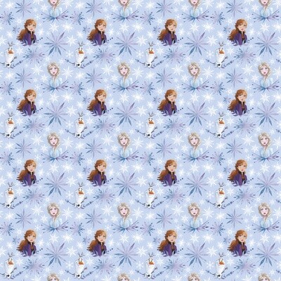 Gift Wrap- Frozen II