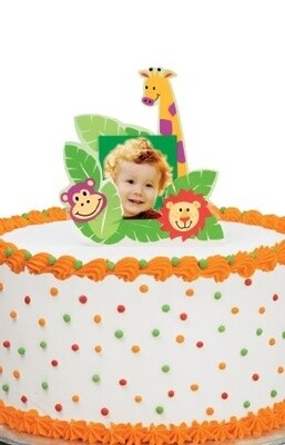 Photo Cake Topper-Birthday Cake-1pkg-5&quot;