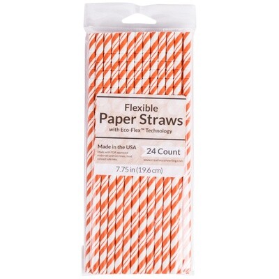 Paper Straws - Orange - 24pk