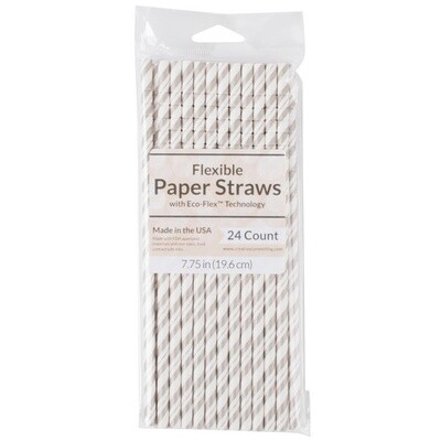 Paper Straws-Silver-24pk