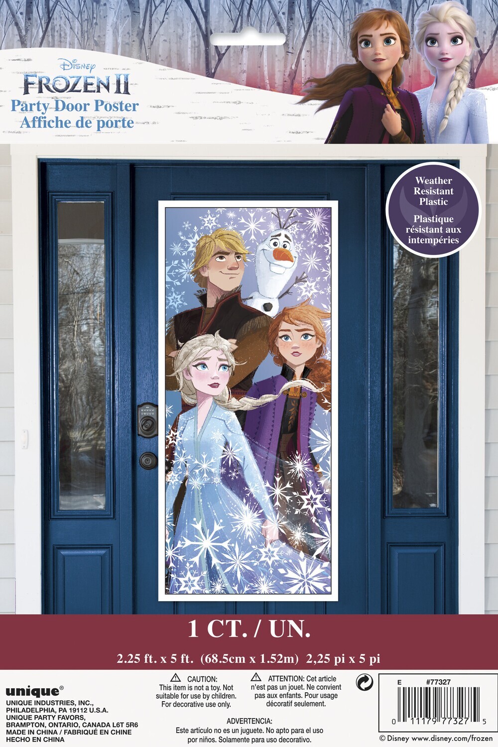 Door Poster- Frozen II