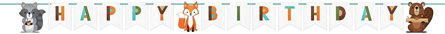Banner - Wild One - 8.2ftx6&quot; - 1pc