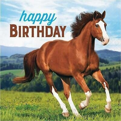 Napkins - LN - Horse and Pony - HBDAY - 16 pk