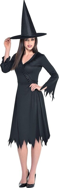 Costume - Wicked Witch - Adult STD