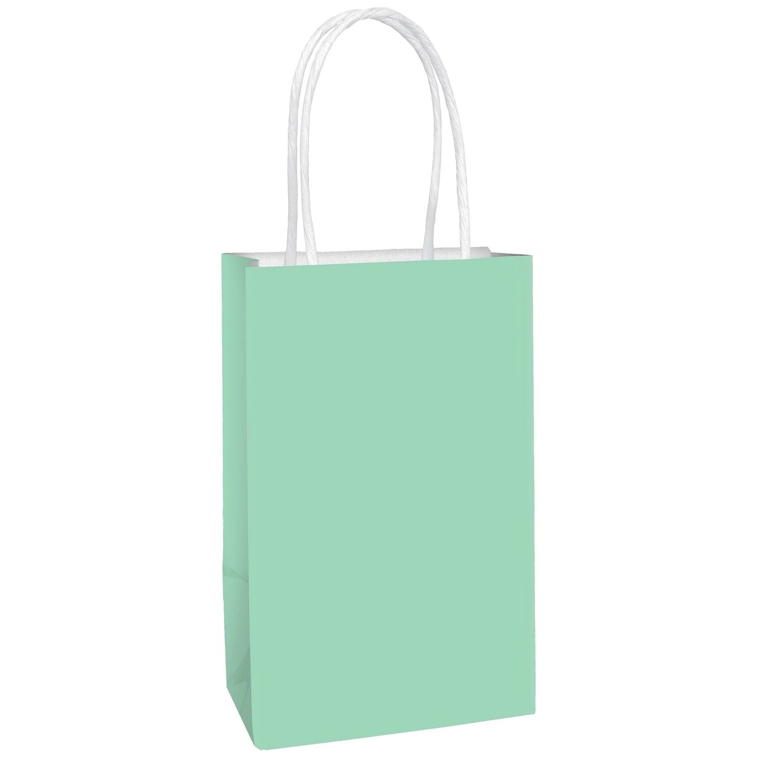 Gift bag - Small - Mint - 8.5&quot;