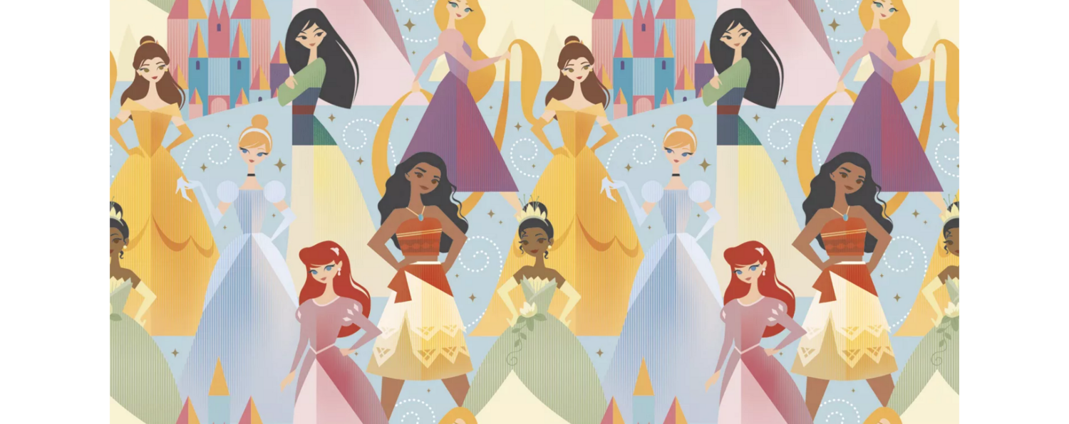 Gift Wrap - Disney Princess - 30&#39;&#39; x 5 ft