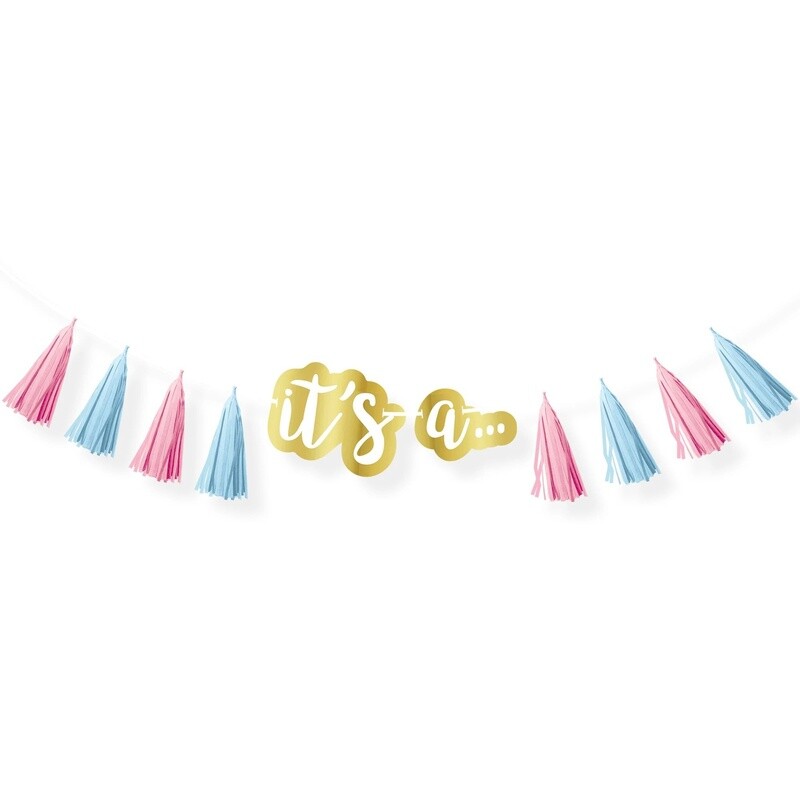 Tassel Garland - Gender Reveal