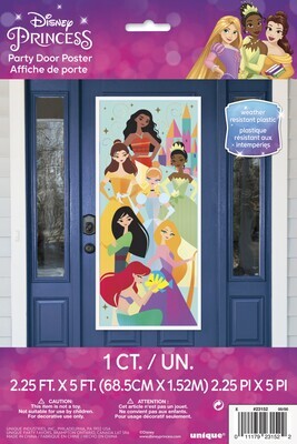 Door Poster - Disney Princess - (2.25FTX 5FT)