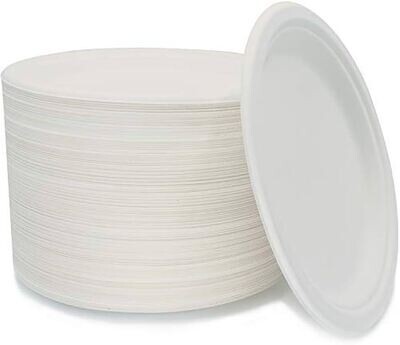 Eco - Friendly Paper Plates - 9&quot; - 40 PCS