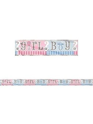 Banner-Gender Reveal-Foil-12Ft